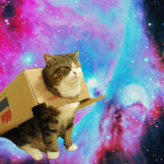 tumblr_ltr7d28YEG1r2lm6yo1_500