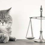 justice