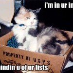 email-marketing-cat-in-your-inbox